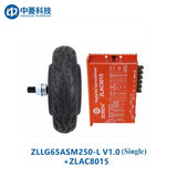 ZHONGLING ZLLG65-ASM250-L V1.0 Motor