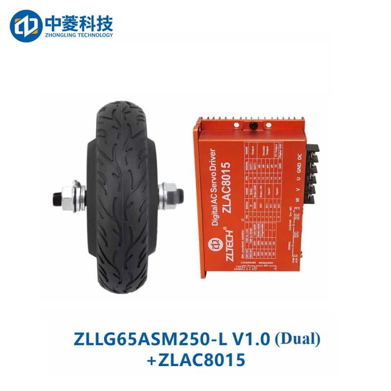 ZHONGLING ZLLG65-ASM250-L V1.0 Motor