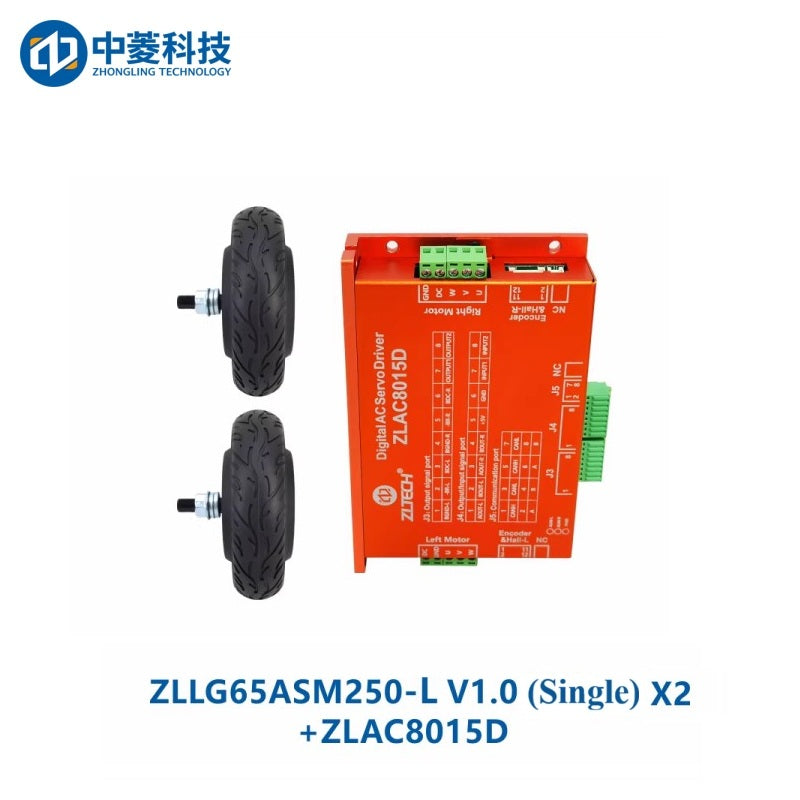 ZHONGLING ZLLG65-ASM250-L V1.0 Motor
