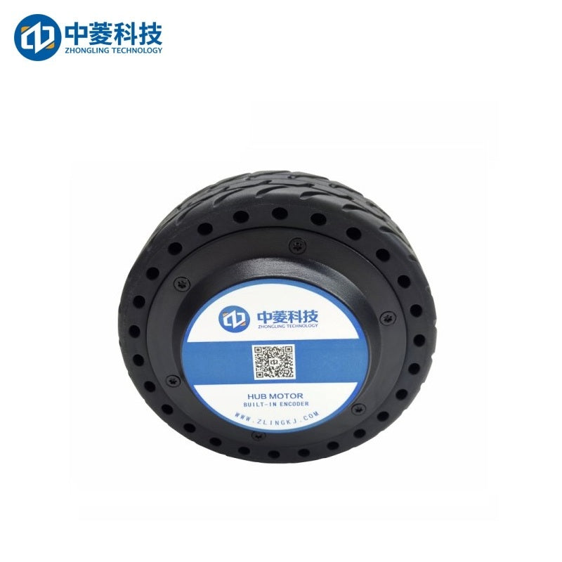 ZHONGLING ZLLG65-ASM250-L V3.15 Motor