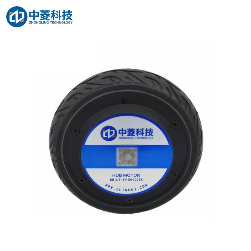 ZHONGLING ZLLG65-ASM250 V3.0 Motor