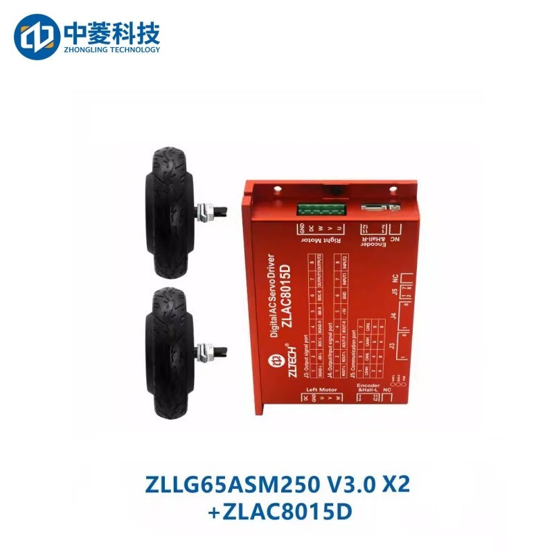 ZHONGLING ZLLG65-ASM250 V3.0 Motor
