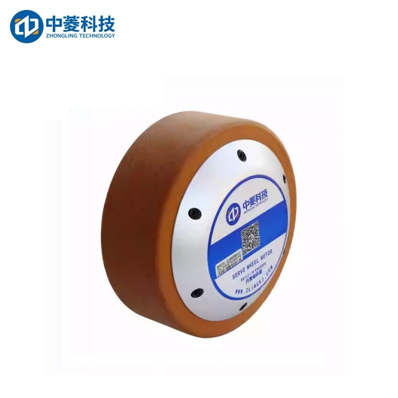 ZHONGLING ZLLG65-ASM500 V2.0 Motor