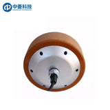 ZHONGLING ZLLG65-ASM500 V2.0 Motor