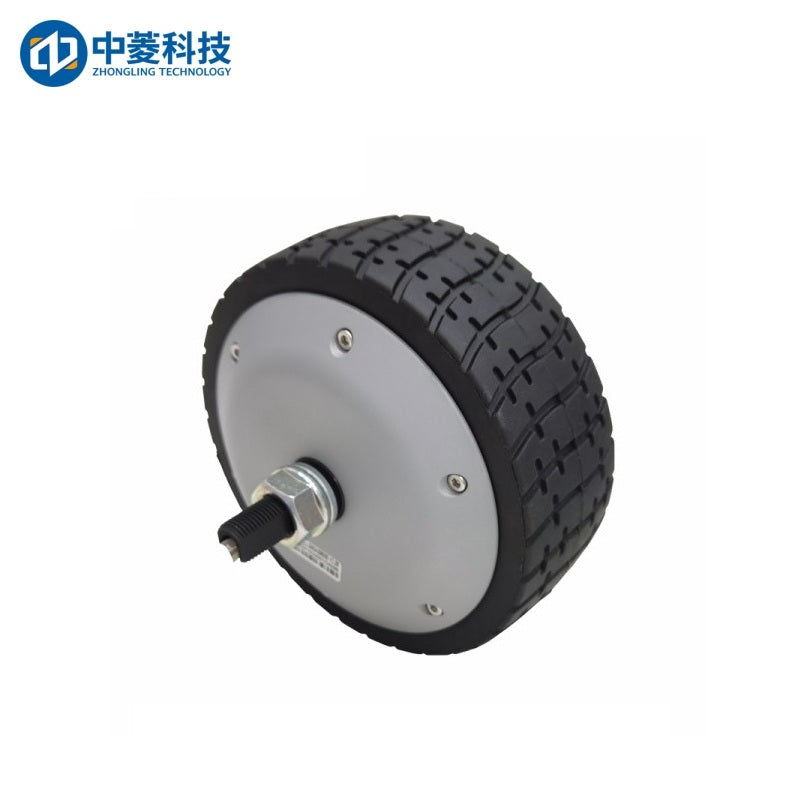 ZHONGLING ZLLG65-ASM500 V2.09 Motor