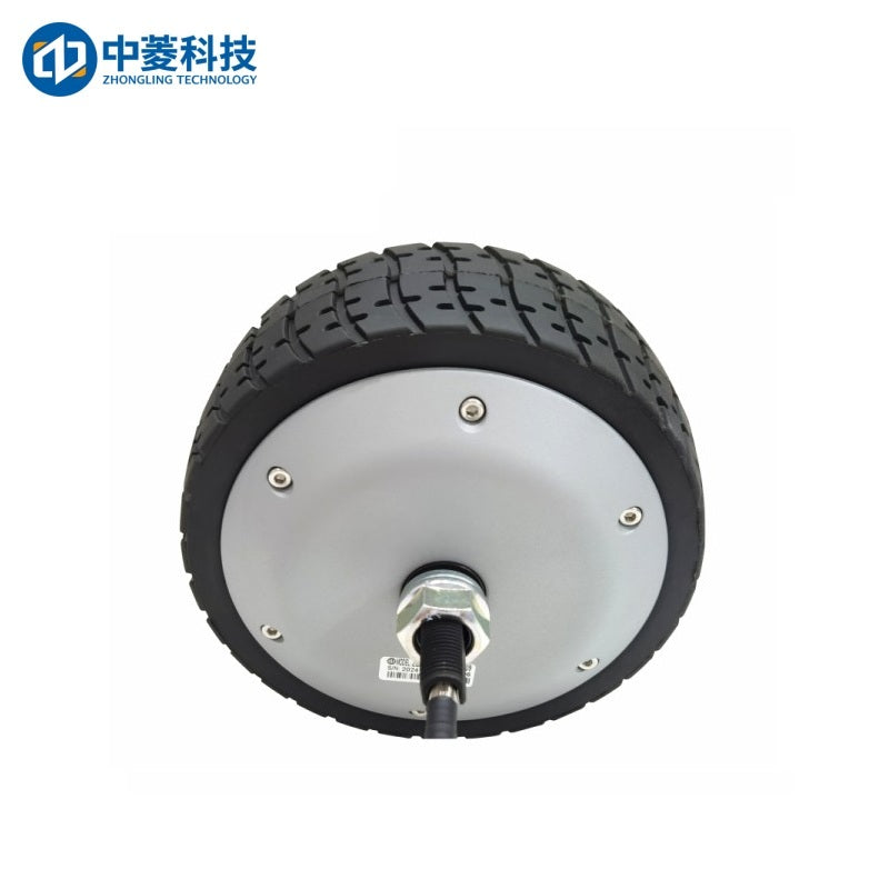 ZHONGLING ZLLG65-ASM500 V2.09 Motor
