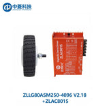 ZHONGLING ZLLG80-ASM250-4096 V2.18 Motor
