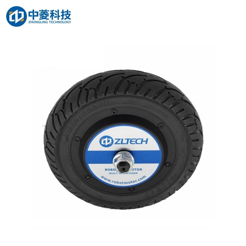 ZHONGLING ZLLG80-ASM250-L V1.0 Motor