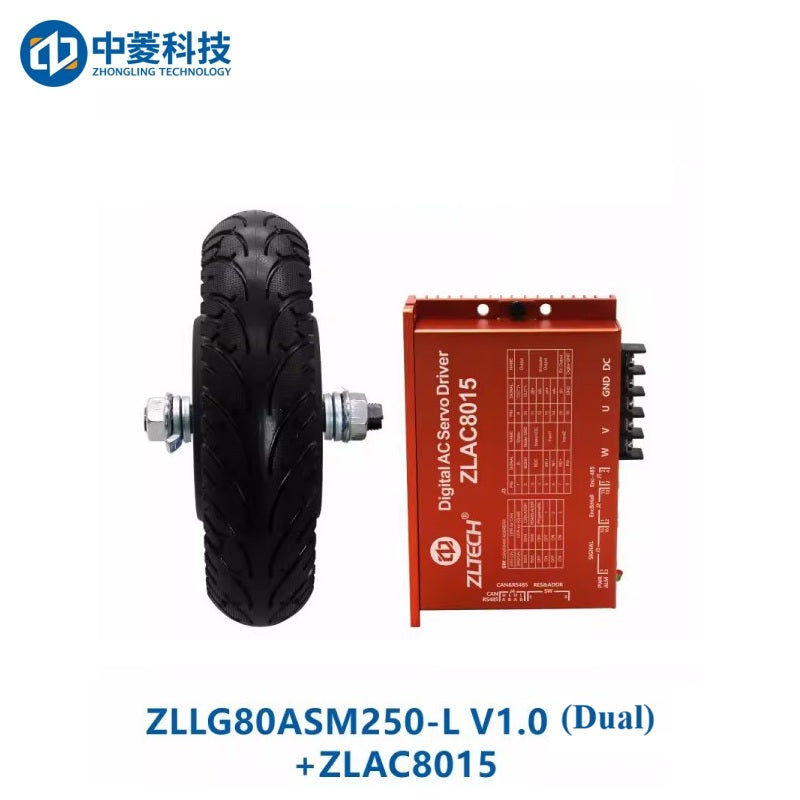 ZHONGLING ZLLG80-ASM250-L V1.0 Motor