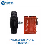 ZHONGLING ZLLG80-ASM250 V1.0 Motor