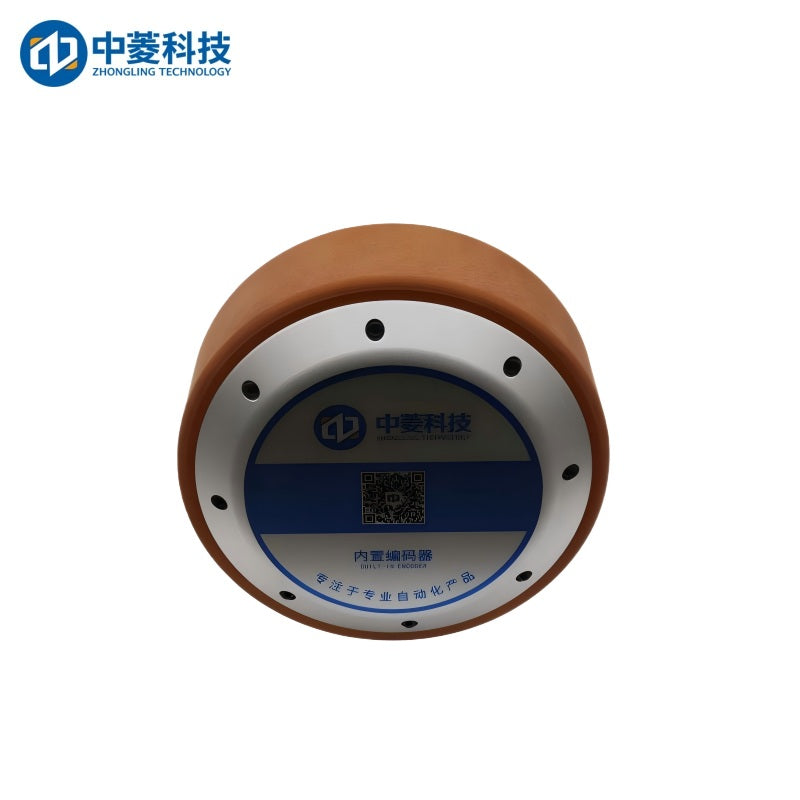 ZHONGLING ZLLG80-ASM800 Motor