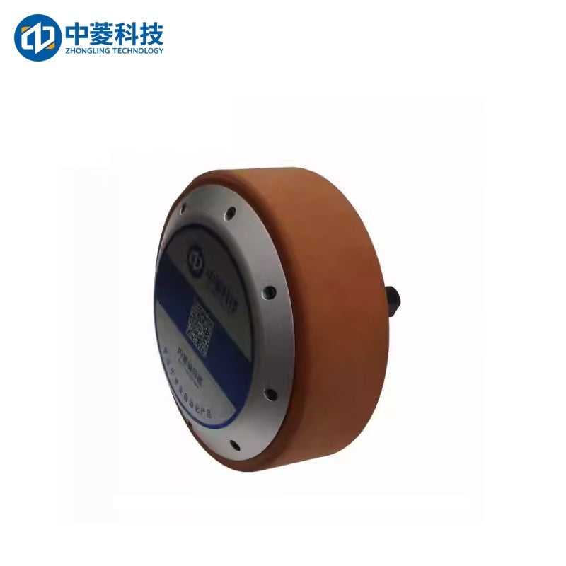 ZHONGLING ZLLG80-ASM800 Motor