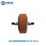 ZHONGLING ZLLG80-ASM800 Motor