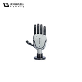 Cyborg-H02 Robotic Hand
