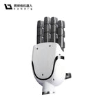 Cyborg-H02 Robotic Hand