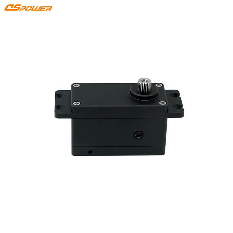 DSpower DS-W004A Servo Motor