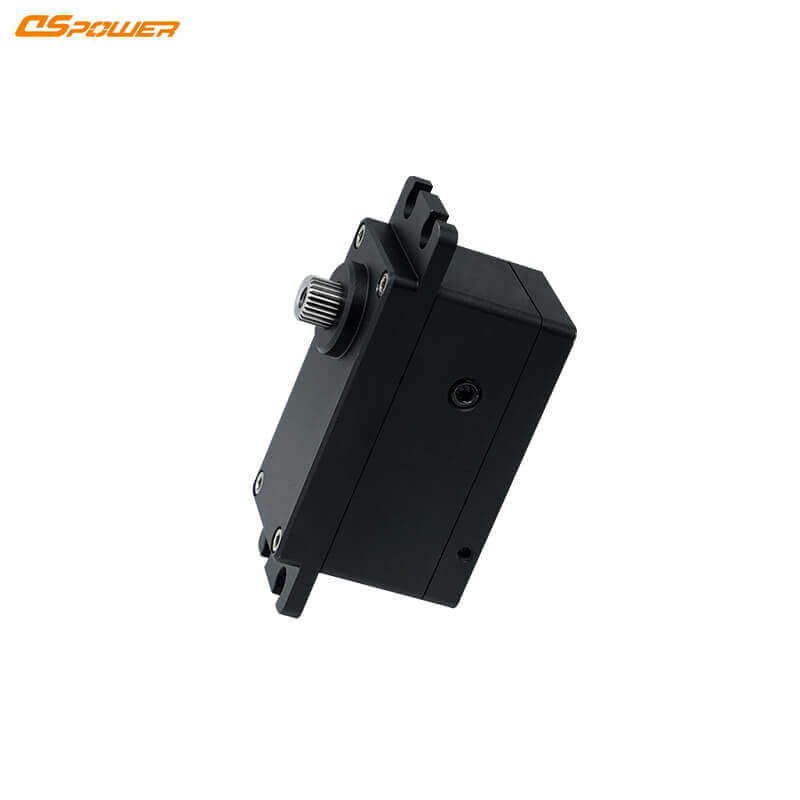 DSpower DS-W004A Servo Motor