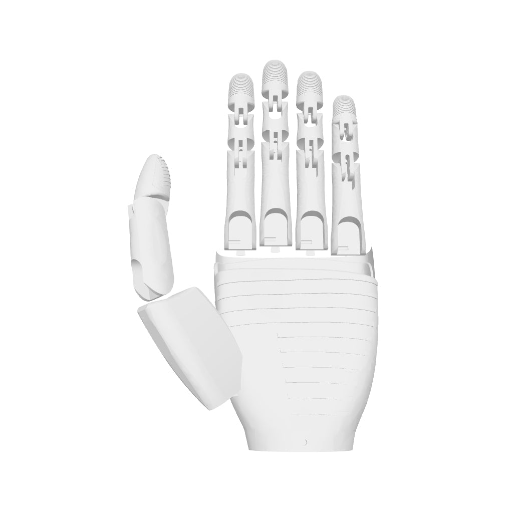 Ti5 ROBOT Cool Hand