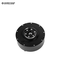 ROBSTRIDE 01 Motor