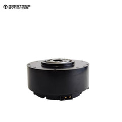 ROBSTRIDE 01 Motor